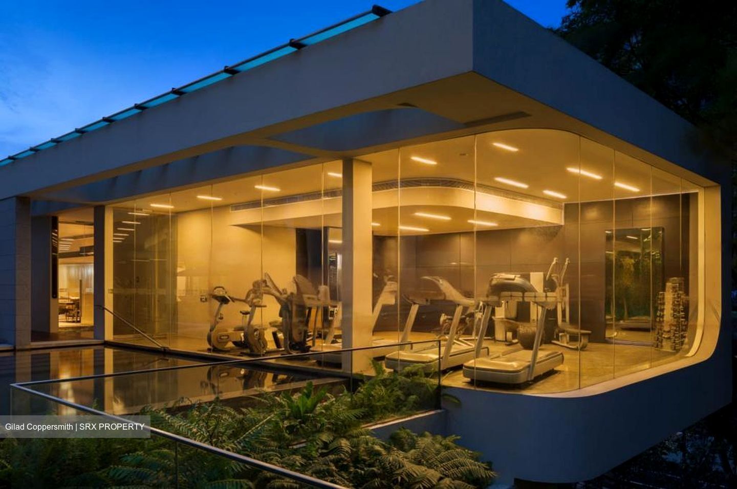Ardmore Residence (D10), Condominium #443844481
